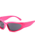 Polarized Sunglasses