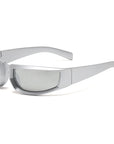 Polarized Sunglasses