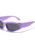 Polarized Sunglasses