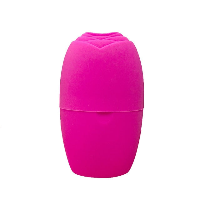 Silicone Ice Facial Holder