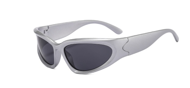 Polarized Sunglasses