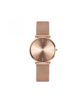 Steel Mesh Japan Quartz Watch