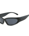 Polarized Sunglasses