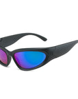 Polarized Sunglasses