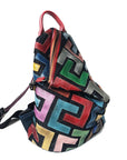Genuine Leather Multi Color Backpack