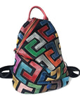 Genuine Leather Multi Color Backpack