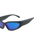 Polarized Sunglasses