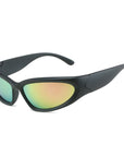 Polarized Sunglasses