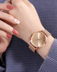 Steel Mesh Japan Quartz Watch