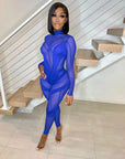 Echoine Stretch See Through Jumpsuit