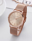 Steel Mesh Japan Quartz Watch