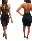 Sequin Embroidered Sheer Backless Dress